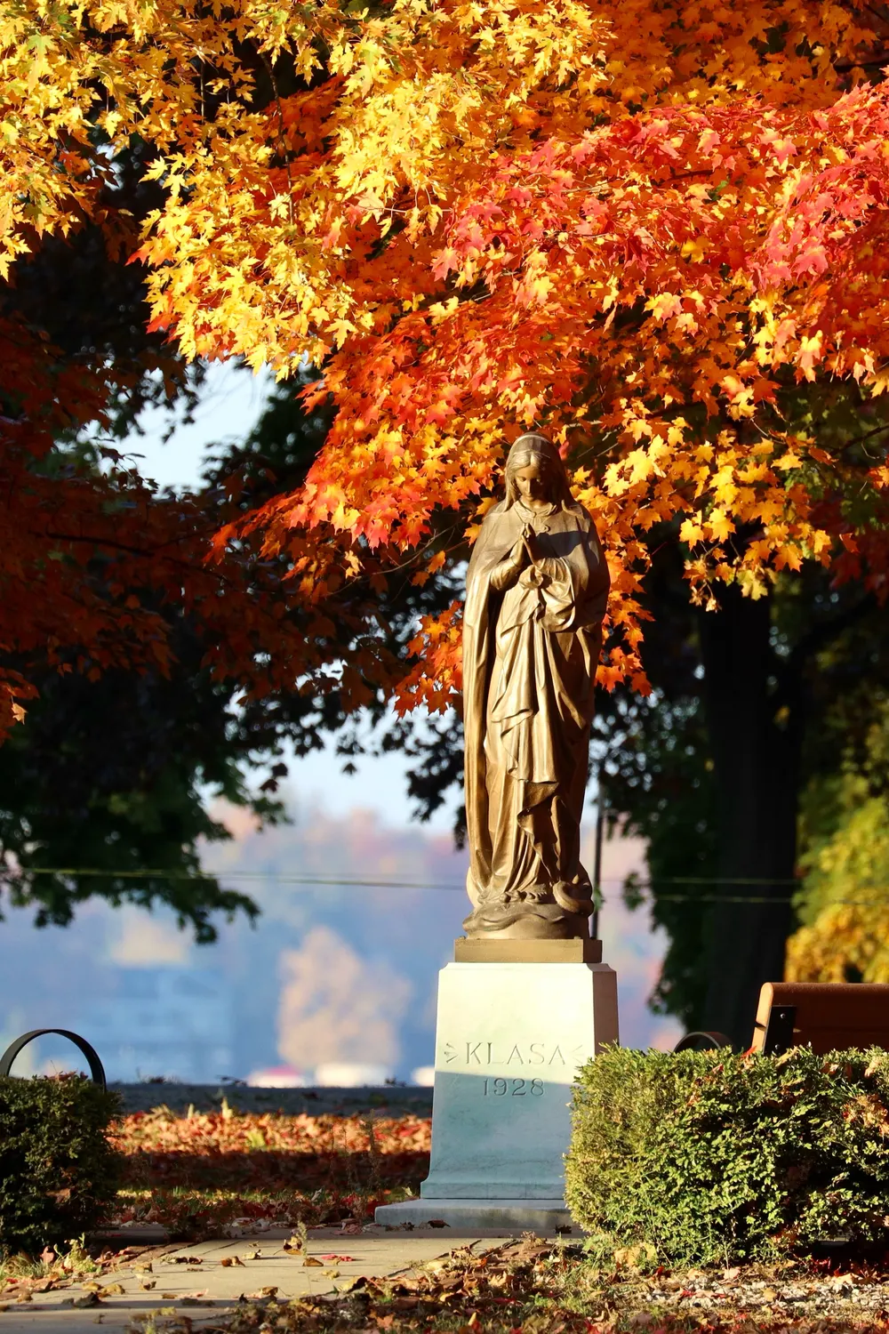 A statue of the Blessed Virgin Mary beneath golden and red autumn leaves on campus